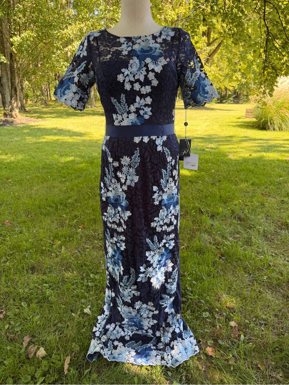 Adrianna Papell Angeline Navy Embroidered Lace Gown Womens 4